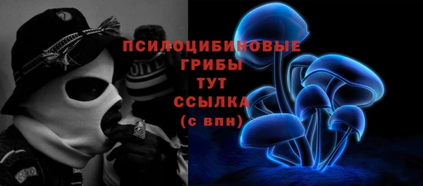 круглые Алзамай