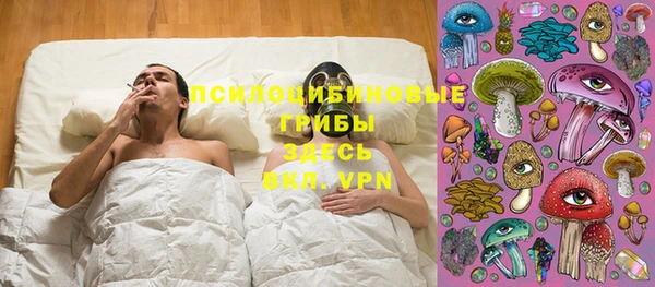 круглые Алзамай