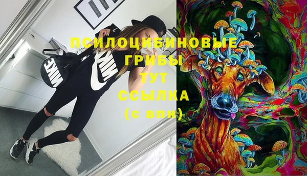 круглые Алзамай