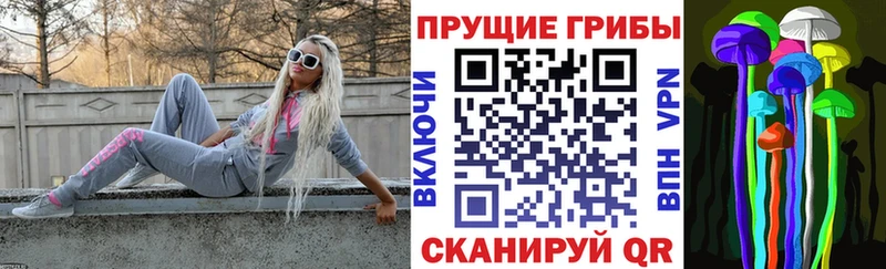 продажа наркотиков  Бронницы  Галлюциногенные грибы GOLDEN TEACHER 